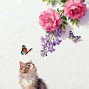 ヒメ日記 2026/04/29 16:52 投稿 イズミ リッチドールなんば店