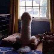 ヒメ日記 2025/02/14 13:26 投稿 ソアラ リッチドールなんば店