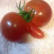 ヒメ日記 2025/09/01 18:46 投稿 ソアラ リッチドールなんば店