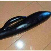 ヒメ日記 2026/02/04 09:36 投稿 ソアラ リッチドールなんば店