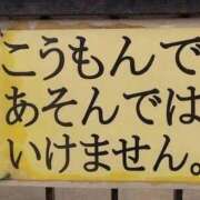 ヒメ日記 2026/04/03 08:36 投稿 ソアラ リッチドールなんば店