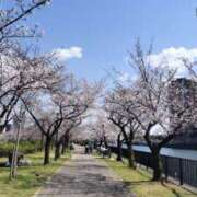 ヒメ日記 2025/04/05 05:13 投稿 あき リッチドールパート2梅田店