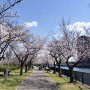 ヒメ日記 2025/04/05 05:18 投稿 あき リッチドールパート2梅田店