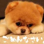 ヒメ日記 2026/02/12 16:40 投稿 きこ リッチドールパート2梅田店