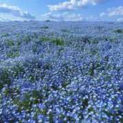 ヒメ日記 2026/05/01 10:55 投稿 すずか リッチドールパート2梅田店