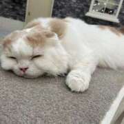 ヒメ日記 2025/05/21 06:00 投稿 みき リッチドールパート2梅田店