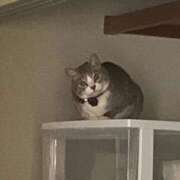 ヒメ日記 2025/03/15 20:15 投稿 太田 ゆかり 30代40代50代と遊ぶなら博多人妻専科24時