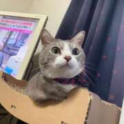 ヒメ日記 2025/04/08 11:12 投稿 太田 ゆかり 30代40代50代と遊ぶなら博多人妻専科24時