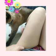 ヒメ日記 2025/05/15 04:00 投稿 太田 ゆかり 30代40代50代と遊ぶなら博多人妻専科24時