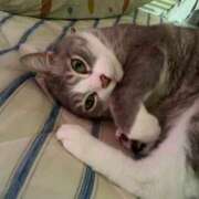 ヒメ日記 2025/07/19 13:07 投稿 太田 ゆかり 30代40代50代と遊ぶなら博多人妻専科24時