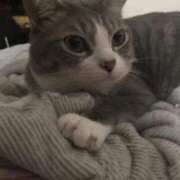 ヒメ日記 2025/11/04 13:17 投稿 太田 ゆかり 30代40代50代と遊ぶなら博多人妻専科24時