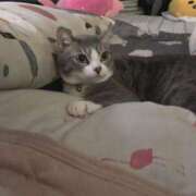 ヒメ日記 2025/11/06 15:49 投稿 太田 ゆかり 30代40代50代と遊ぶなら博多人妻専科24時