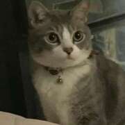 ヒメ日記 2026/04/15 13:49 投稿 太田 ゆかり 30代40代50代と遊ぶなら博多人妻専科24時