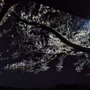 ヒメ日記 2025/04/13 19:37 投稿 レン 44 heart ～ヨンヨンハート～