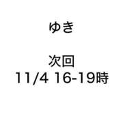 ヒメ日記 2025/11/01 18:15 投稿 ゆき みつらん鉄道