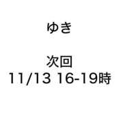 ヒメ日記 2025/11/10 18:57 投稿 ゆき みつらん鉄道