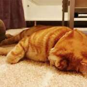 ヒメ日記 2026/01/21 08:35 投稿 きょうか リッチドールフェミニン