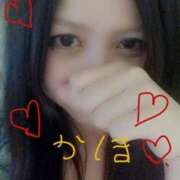 ヒメ日記 2025/06/13 18:13 投稿 かほ Club Paradise（クラブパラダイス）