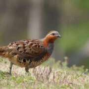 ヒメ日記 2025/01/15 15:21 投稿 みずな 熟女の風俗最終章 蒲田店