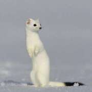 ヒメ日記 2025/02/22 07:56 投稿 みずな 熟女の風俗最終章 蒲田店