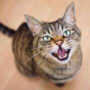 ヒメ日記 2025/02/23 08:06 投稿 みずな 熟女の風俗最終章 蒲田店