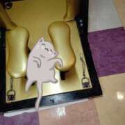 ヒメ日記 2025/03/07 08:36 投稿 みずな 熟女の風俗最終章 蒲田店