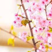 ヒメ日記 2025/03/22 09:56 投稿 みずな 熟女の風俗最終章 蒲田店