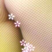 ヒメ日記 2025/03/27 09:30 投稿 みずな 熟女の風俗最終章 蒲田店