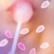 ヒメ日記 2025/03/27 10:50 投稿 みずな 熟女の風俗最終章 蒲田店