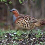 ヒメ日記 2025/03/28 10:20 投稿 みずな 熟女の風俗最終章 蒲田店