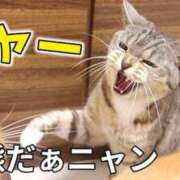 ヒメ日記 2025/04/05 08:23 投稿 みずな 熟女の風俗最終章 蒲田店