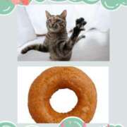 ヒメ日記 2025/04/06 08:00 投稿 みずな 熟女の風俗最終章 蒲田店