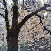 ヒメ日記 2025/04/08 17:50 投稿 みずな 熟女の風俗最終章 蒲田店