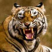 ヒメ日記 2025/05/06 21:30 投稿 みずな 熟女の風俗最終章 蒲田店