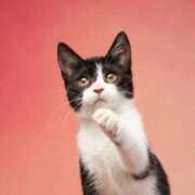 ヒメ日記 2025/05/22 07:50 投稿 みずな 熟女の風俗最終章 蒲田店