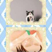 ヒメ日記 2025/05/24 20:01 投稿 みずな 熟女の風俗最終章 蒲田店