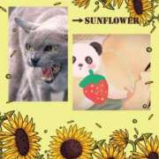 ヒメ日記 2025/06/28 17:50 投稿 みずな 熟女の風俗最終章 蒲田店