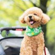 ヒメ日記 2025/06/30 05:40 投稿 みずな 熟女の風俗最終章 蒲田店