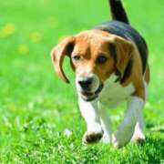 ヒメ日記 2025/07/11 17:33 投稿 みずな 熟女の風俗最終章 蒲田店