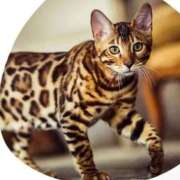 ヒメ日記 2025/08/25 15:30 投稿 みずな 熟女の風俗最終章 蒲田店