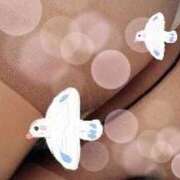 ヒメ日記 2025/08/28 09:50 投稿 みずな 熟女の風俗最終章 蒲田店