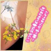 ヒメ日記 2025/10/24 10:03 投稿 みずな 熟女の風俗最終章 蒲田店