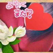 ヒメ日記 2025/11/06 10:31 投稿 みずな 熟女の風俗最終章 蒲田店