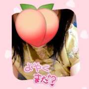 ヒメ日記 2025/11/08 12:10 投稿 みずな 熟女の風俗最終章 蒲田店