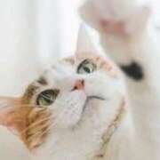 ヒメ日記 2025/11/11 14:50 投稿 みずな 熟女の風俗最終章 蒲田店