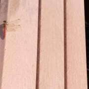 ヒメ日記 2025/11/20 07:20 投稿 みずな 熟女の風俗最終章 蒲田店