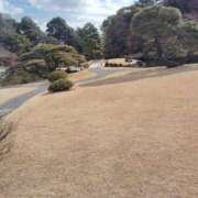 ヒメ日記 2025/12/26 08:00 投稿 みずな 熟女の風俗最終章 蒲田店