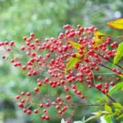 ヒメ日記 2026/01/03 08:20 投稿 みずな 熟女の風俗最終章 蒲田店