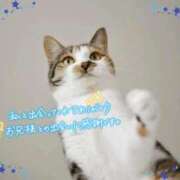 ヒメ日記 2026/01/06 18:20 投稿 みずな 熟女の風俗最終章 蒲田店