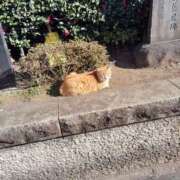 ヒメ日記 2026/02/05 08:00 投稿 みずな 熟女の風俗最終章 蒲田店